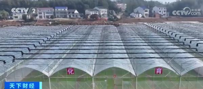 QQ截图20240403100625