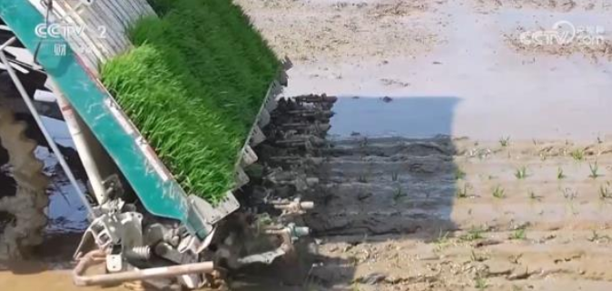 QQ截图20240403100637