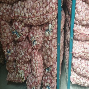 众程农产品白皮大蒜颗粒饱满货源充足加工可做调味品