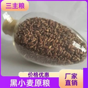 三主粮 加工过程简单自然 黑小麦原粮