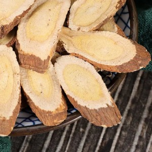 野生红芪